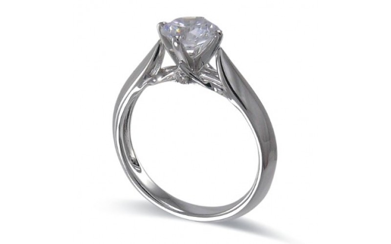 14K White Gold Diamond Ring Mounting